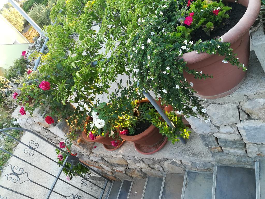 Apartment Neno - Terrace & Parking Veli Losinj Luaran gambar