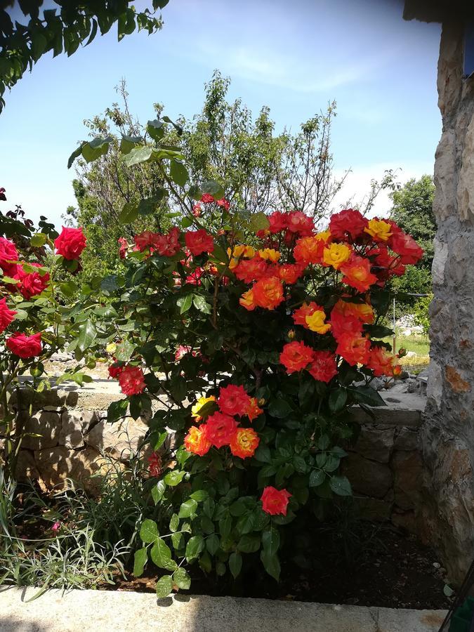 Apartment Neno - Terrace & Parking Veli Losinj Luaran gambar