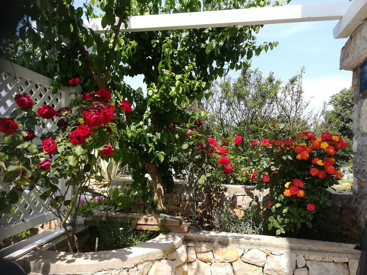 Apartment Neno - Terrace & Parking Veli Losinj Luaran gambar