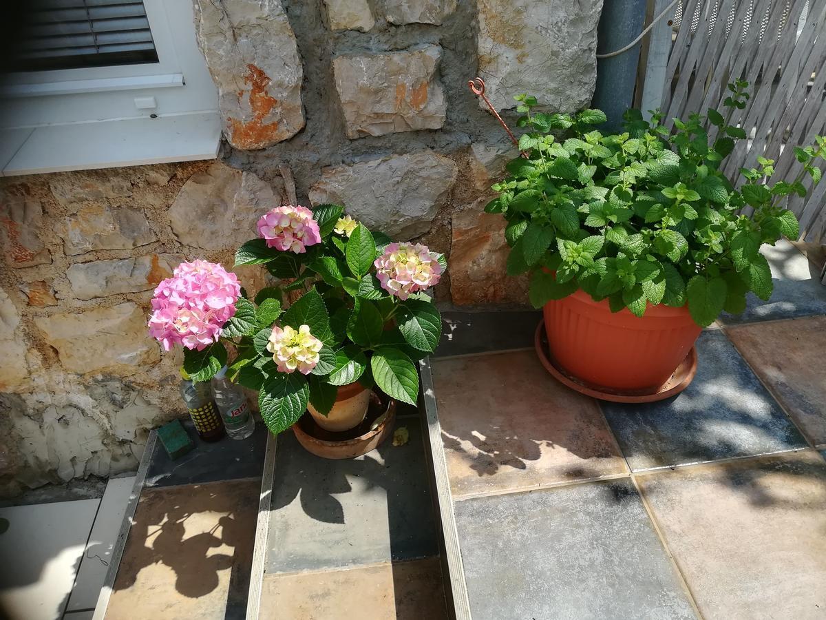 Apartment Neno - Terrace & Parking Veli Losinj Luaran gambar