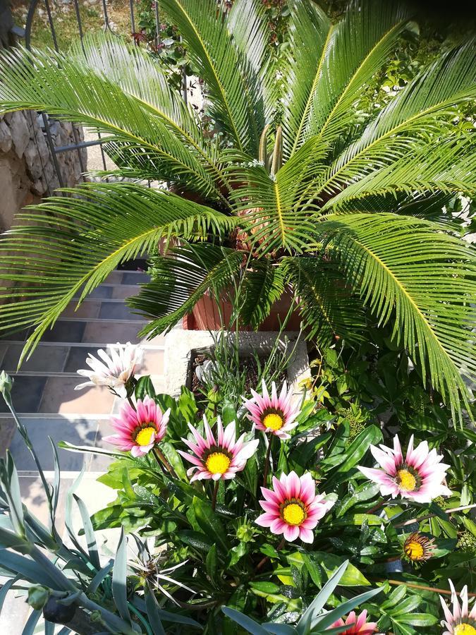 Apartment Neno - Terrace & Parking Veli Losinj Luaran gambar
