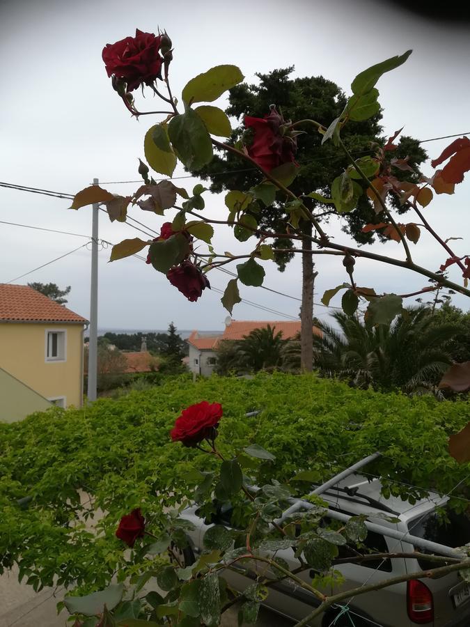 Apartment Neno - Terrace & Parking Veli Losinj Luaran gambar