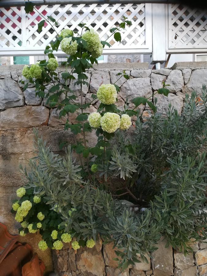 Apartment Neno - Terrace & Parking Veli Losinj Luaran gambar